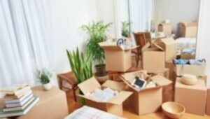 Packers and Movers in Adbhar