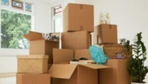 Packers and Movers Basia