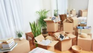 Packers and Movers Bhandaria