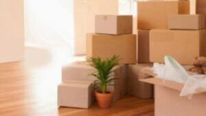 Packers and Movers Bishunpur