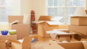 Packers and Movers Thethaitangar