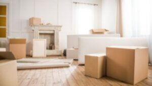 Packers and Movers Bemetara