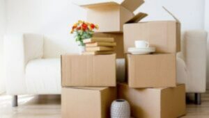 Packers and Movers Bhatapara