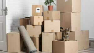 Packers and Movers Bhathapara