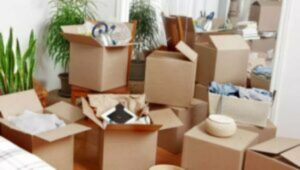 Packers and Movers Bhendri