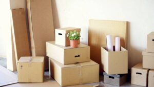 Packers and Movers Bijapur