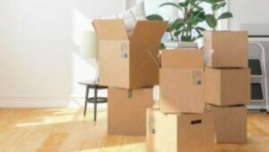 Packers and Movers Champa