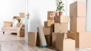 Packers and Movers Bano